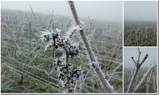 givre du 17 décembre 20223