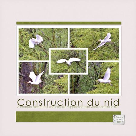 11_03_27_construction_du_nid_F