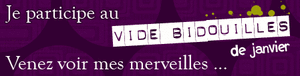 vide_bidouille_logo