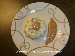 panna cotta pain d'épice