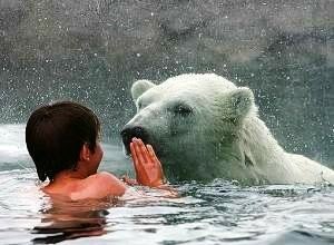 Nager_avec_les_ours_polaires