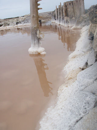 salins__le_saint_martin