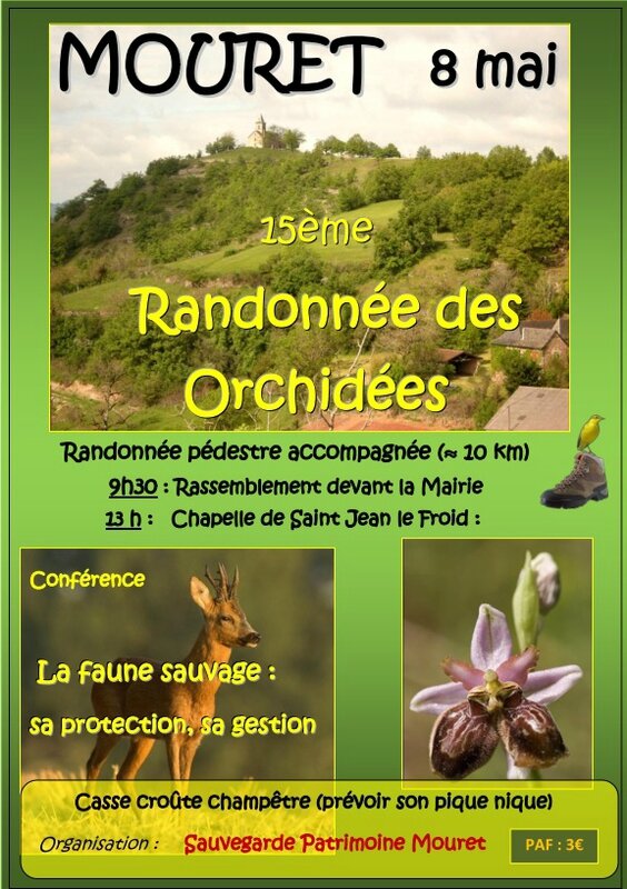 Rando Orchidées 2015