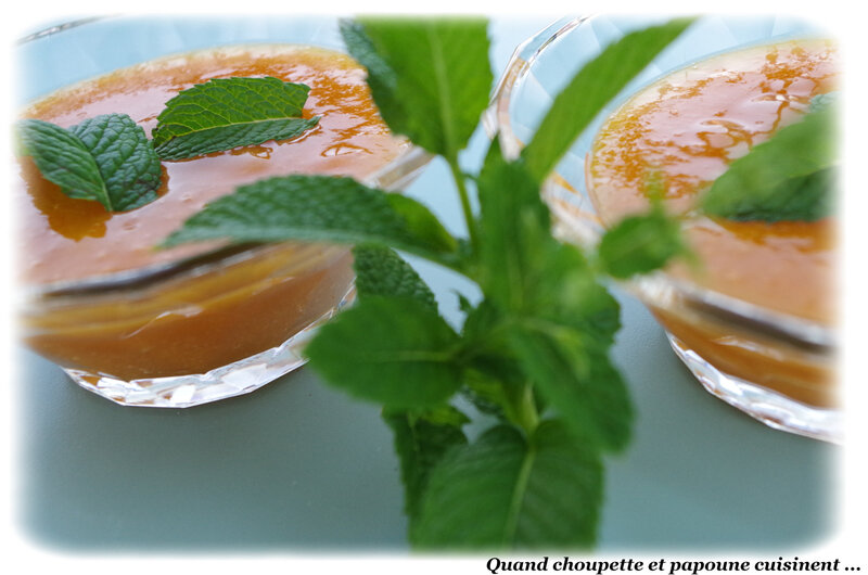 gaspacho d'abricots à la menthe-0141