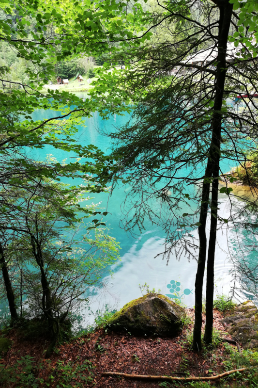 SUISSE_Blausee_10