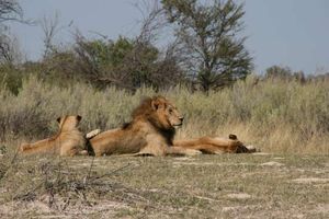 BOMoremi_Wildlife_Reserve__Okavango_Delta__Botswana__169__PhotoRedukto