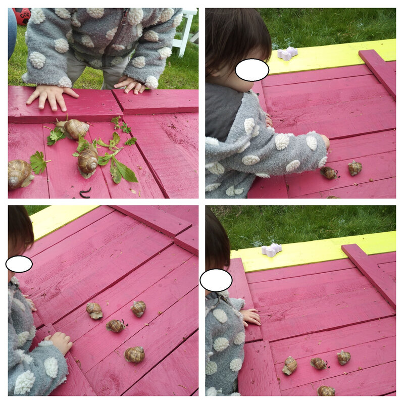 IMG_20190510_165348352-COLLAGE(1)
