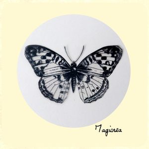 papillon transparent noir