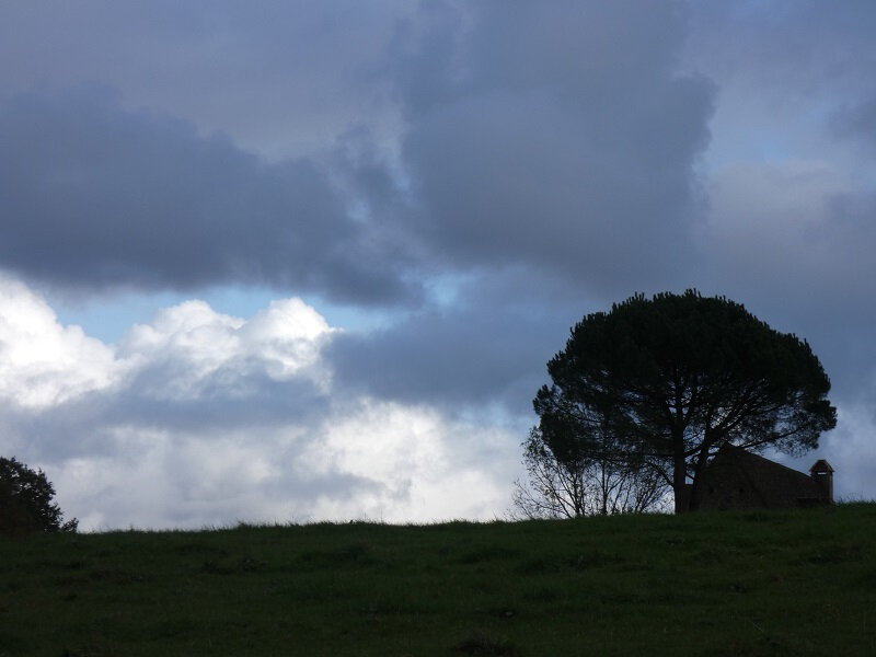 P1040421 - Copie
