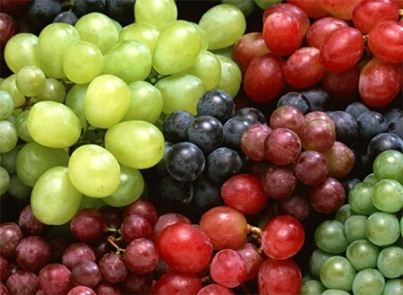 jus-raisin-bio-antioxydant-puissant-naturel-pepin-huile-sec-cure-feuille-pain-vin-peau-cholesterol-vigne-18