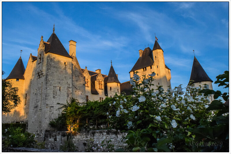 Château du RIVAU (2)