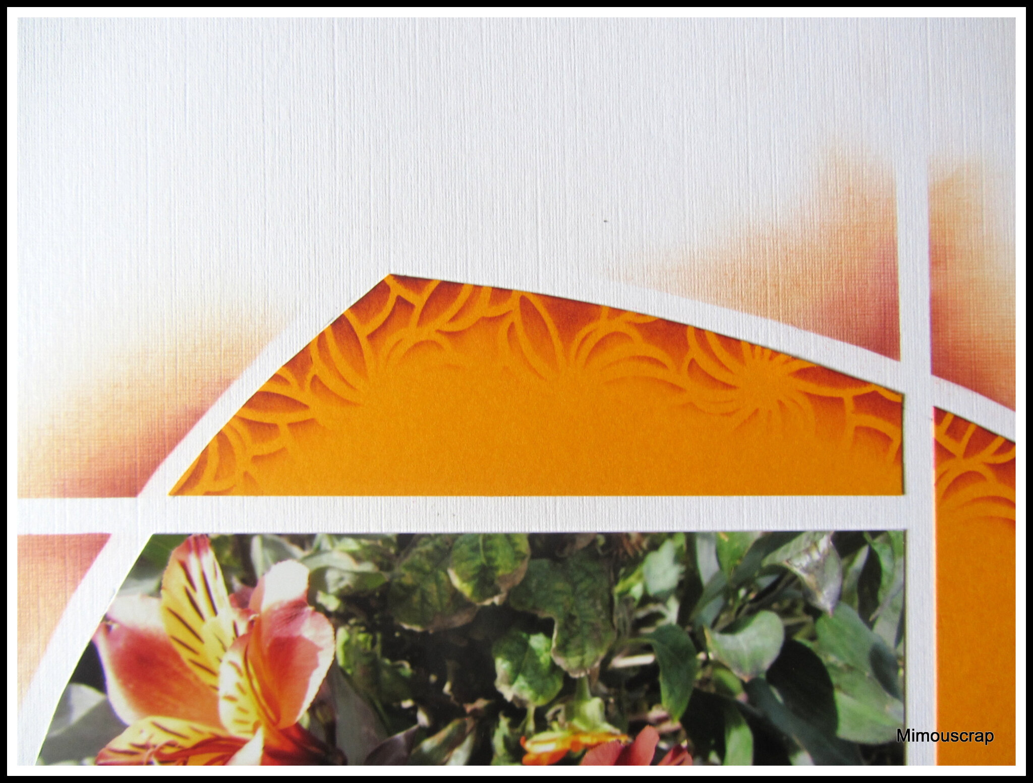 Jardin 2016 081