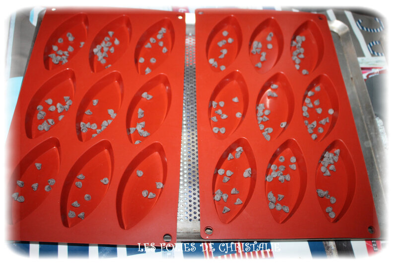 Barquettes 2 chocolats 6