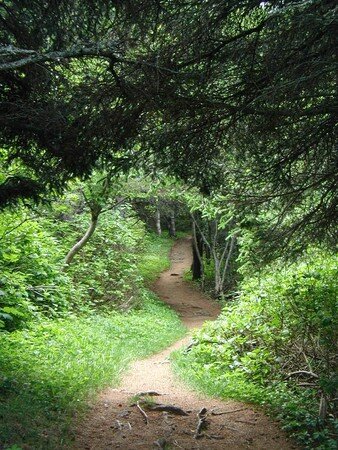 Sentier_Ethnobotanique