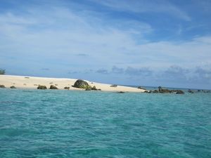 îlot Pouh - mars 2012 063