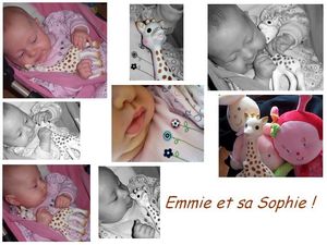 concours photo sophie