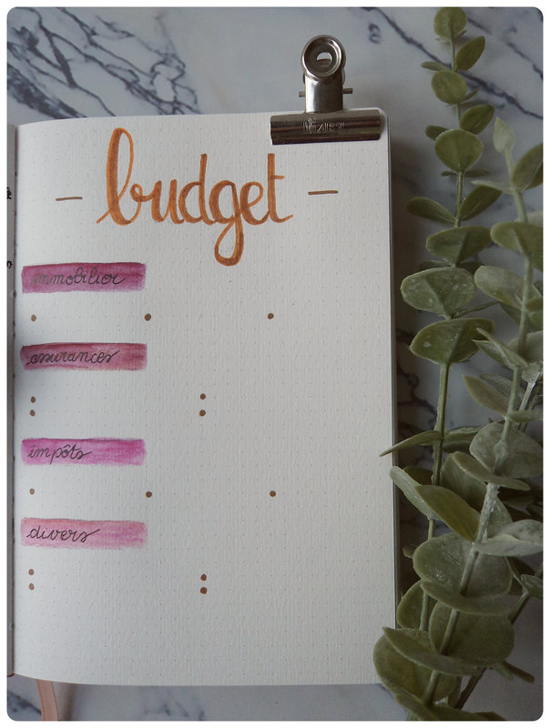 Mes collections Bullet Journal CamDrey bricolent