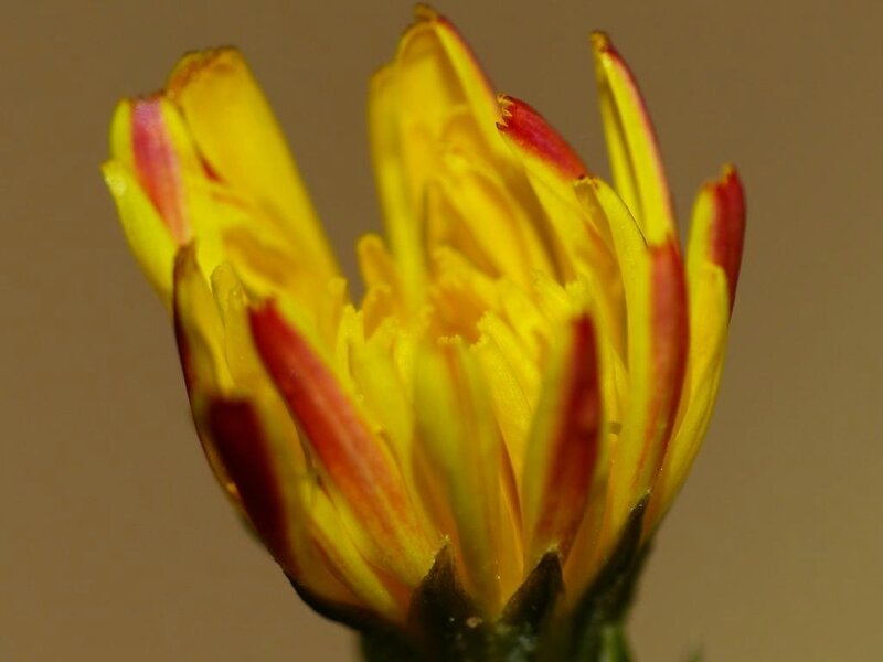 P1200083