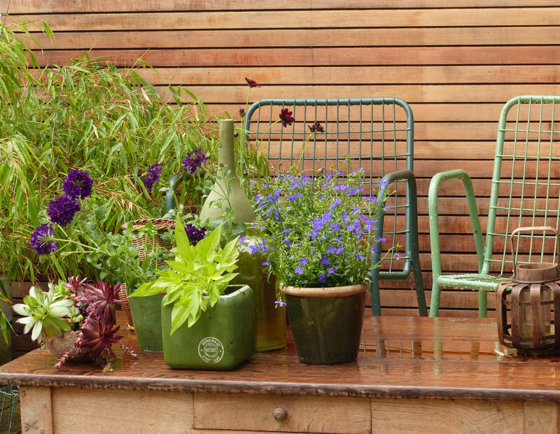 jardin terrasse le samedi 6 juin 2020 (4)