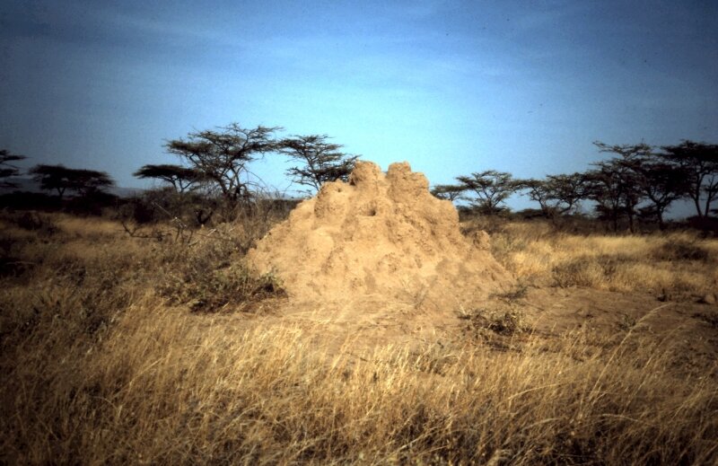 tanzanie 03