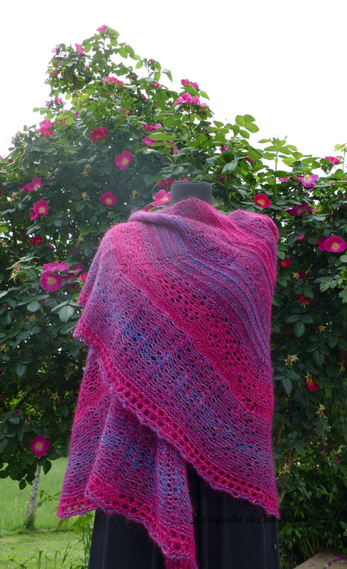 algasoie et zauberball 100 6