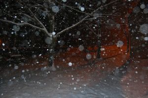 West-Cappel neige 01 13 (19)