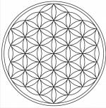 60089754_2483845448294769_2172667162970292224_n