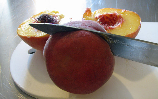 pechecouteau