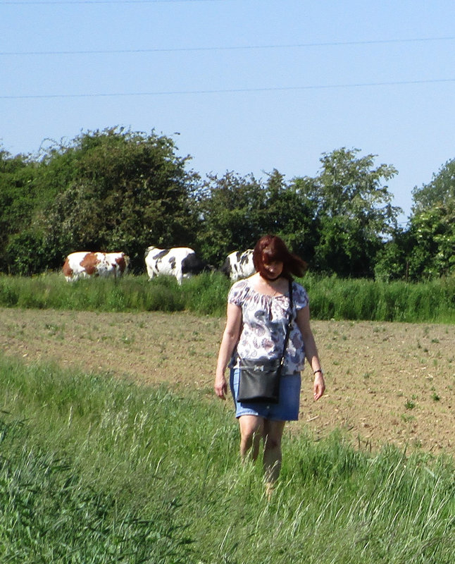 IMG_1896 (2)