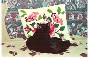 sept_2005__coussin