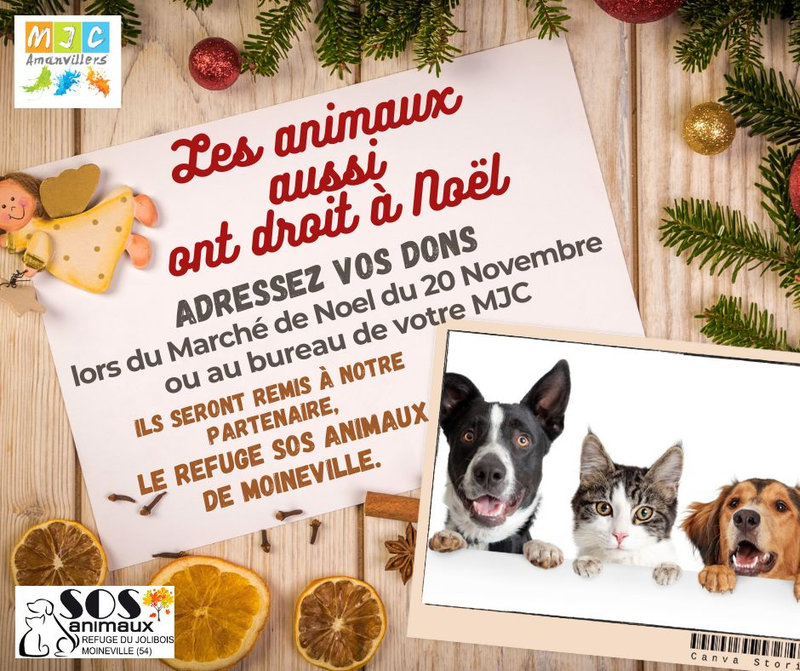 Les animaux aussi ont droit à Noël (1)