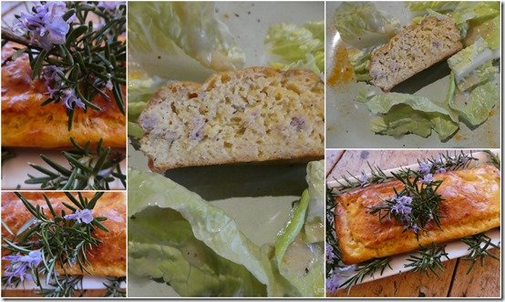 jardin 9 avril 20223