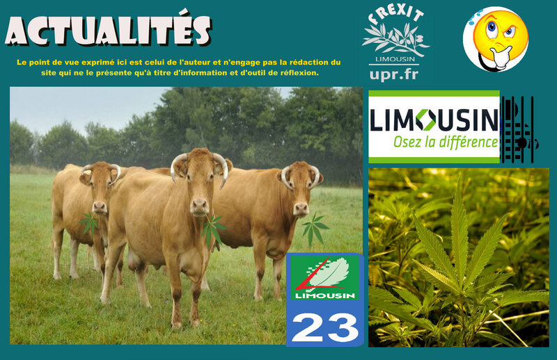 ACT CREUSE CANABIS