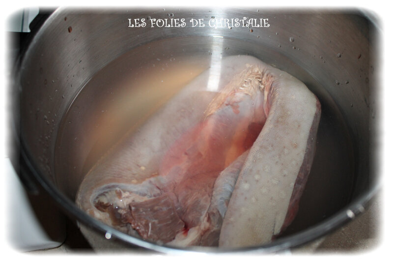 Langue de boeuf 2