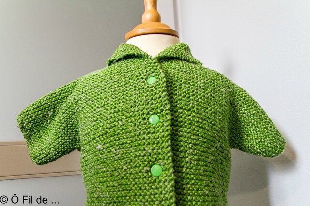 Gilet cactus (5)