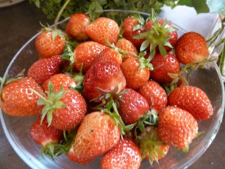 14-premières fraises (3)