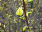 mars_2010_05