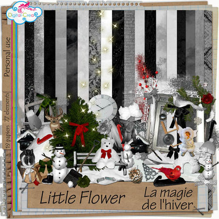preview_littleflower_lamagiedelhiver