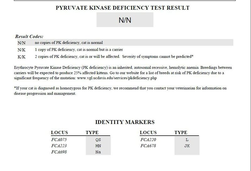 PK DEF IRRE