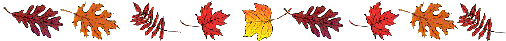 Barre_feuille_automne_1