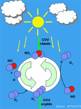 cycle_ozone