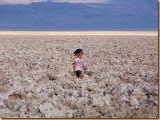 Salar d'Atacama, laguna Chaxa (21)
