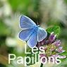 PAPILLONS_DE_NOS_PARCS_ET_JARDINS