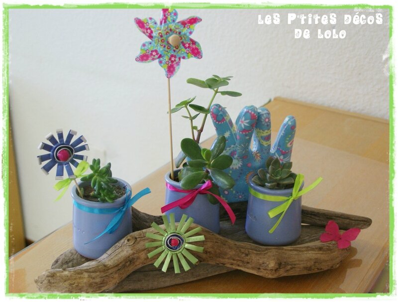 mini jardin
