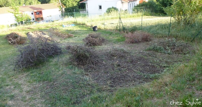 Potager permaculture 2e butte 06