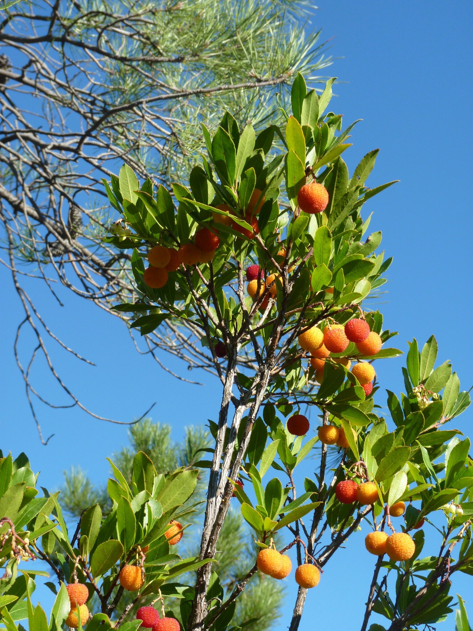 P1110084