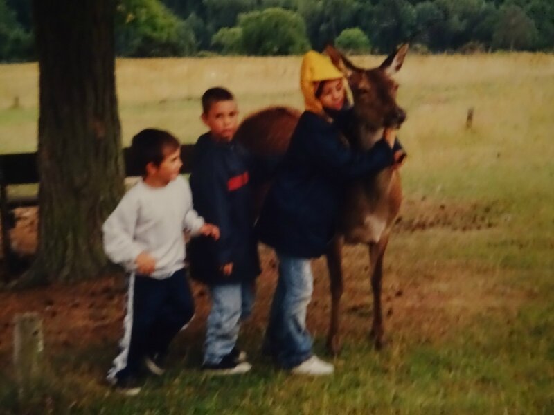 Avec mes frères, nous étions ébahis par cette biche.