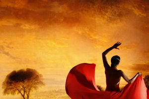 Flamenco_Flamenco_3
