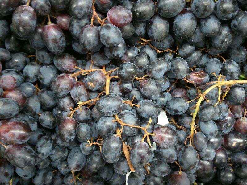 raisins noirs