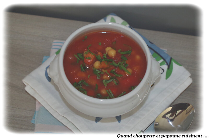 soupe de légumes à la marocaine-4593